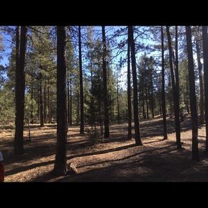 Meet your Posher, Abigail